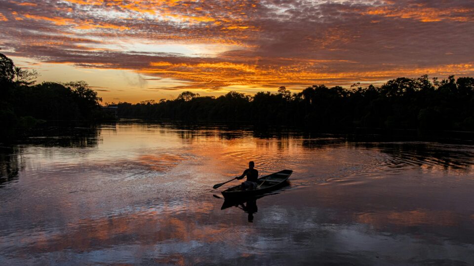 O valor da ciência feita na Amazônia e pelos amazônidas